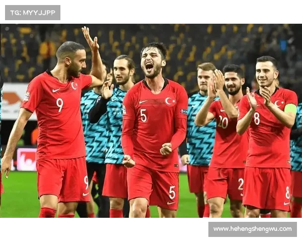 冰岛赛事前瞻冰岛比赛视频