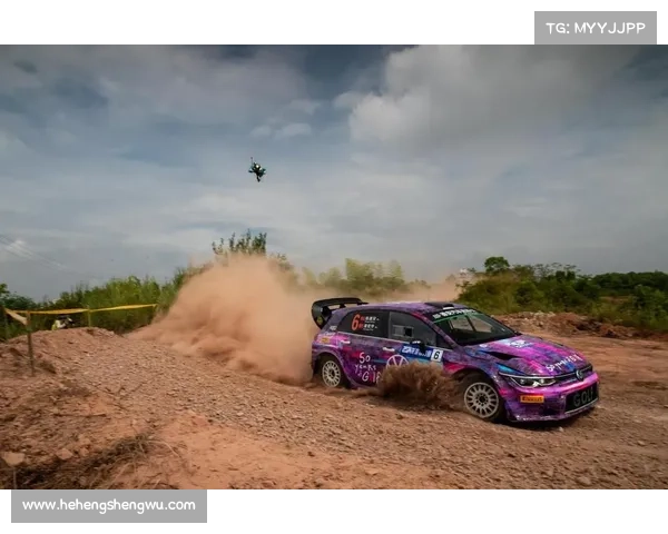 国内拉力赛赛事有哪些